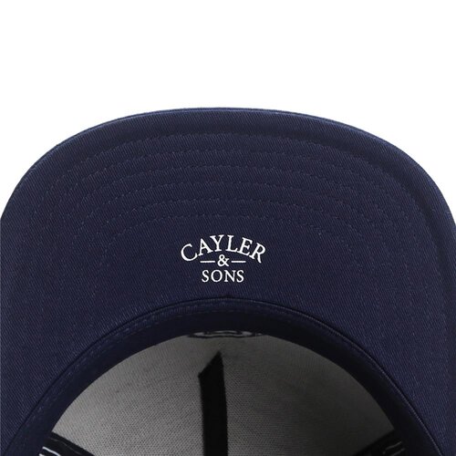Cayler & Sons C&S WL Frat Boy Snapback Cap grey