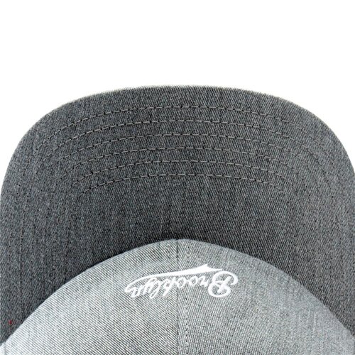 Cayler & Sons C&S CL BK Fastball Curved Cap grey