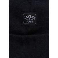 Cayler & Sons Heart for the Game Old School Beanie