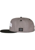 Cayler & Sons Crew Wild Cap