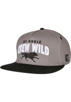 Cayler & Sons Crew Wild Cap