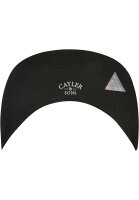 Cayler & Sons Crew Wild Cap