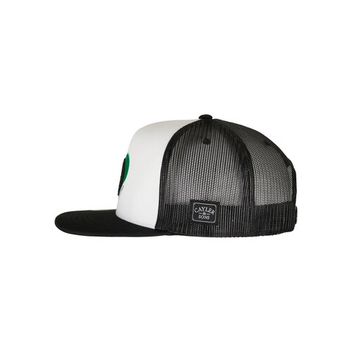 Cayler & Sons C&S Local Planet Trucker Cap black/mc one size