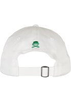 Cayler & Sons C&S Local Planet Curved Cap
