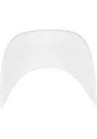 Cayler & Sons C&S Local Planet Curved Cap