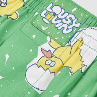 Lousy Livin 2Pack Boxershorts "Kueken & Linen" Green & White S