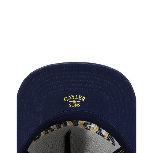 Cayler & Sons C&S WL Dynasty ATHL Cap  grey heather
