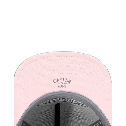 Cayler & Sons C&S WL Mercy Cap  grey heather