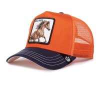 Goorin Bros. The Wild Ride Horse Fab Farm Cap