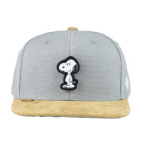 Bavarian Caps "Peanuts Transformer" Snapback Cap