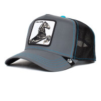 Goorin Bros. Stallion Nights Refelctive Trucker Cap The Farm