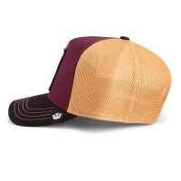 Goorin Bros. Tricolor Owl Trucker Cap Original Recipe Tri Tone multicolor