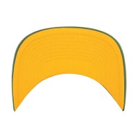 47 Brand NFL Cap GREEN BAY PACKERS 47 Hardline Trucker RF Dark Green