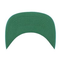 47 Brand NFL Cap MIAMI DOLPHINS Hone 47 HITCH RF Neptune