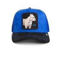 Goorin Bros. Suede Pitbull Trucker Cap ROYAL / VOID -...