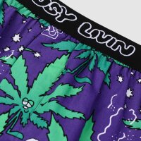Lousy Livin Boxer Briefs 2-Pack Outer Weedy