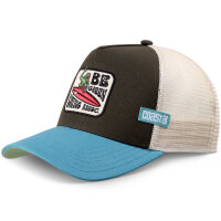 Coastal HFT Be Green Trucker Cap Olive/Turqouise