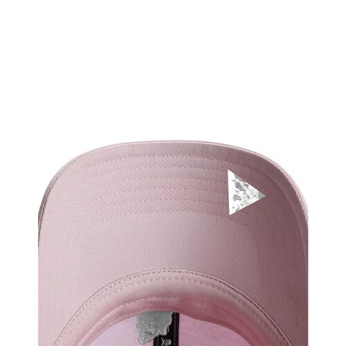Cayler & Sons C&S WL Chosen One Curved Cap pale pink