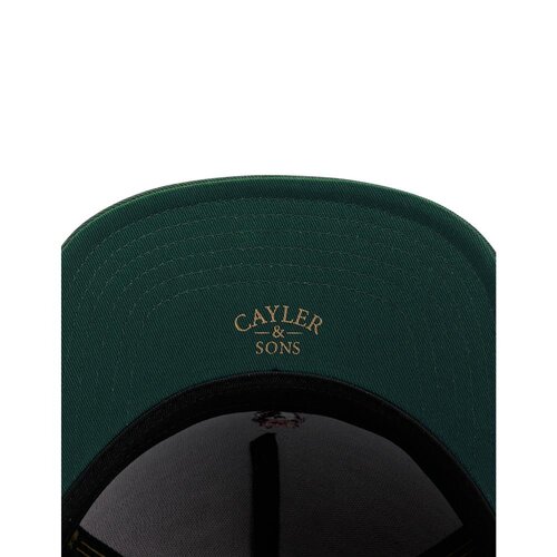 Cayler & Sons C&S WL Bedstuy Cap black/forest