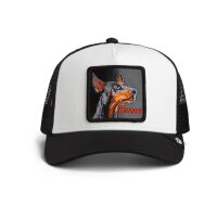 Goorin Bros. Beware Trucker Cap Dust / Void