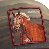 Goorin Bros. Stallion In The Element Trucker Cap CRush