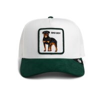 Goorin Bros. Suede Bad Boy Trucker Cap Dust / Guard