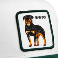 Goorin Bros. Suede Bad Boy Trucker Cap Dust / Guard