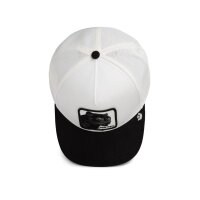 Goorin Bros. Suede Black Panther Trucker Cap Dust / Void