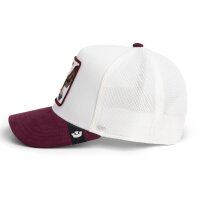 Goorin Bros. Suede Eagle Trucker Cap Dust / Desire