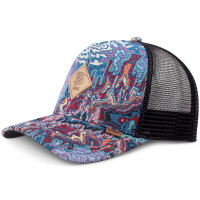 Djinns HFT Trucker Cap Colourexplo