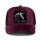 Goorin Bros. OG Trucker Cap Elevated Mesh Velour Legend Desire