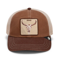 Goorin Bros. Core Mesh Dad Dead Skull Papa Cap Ground