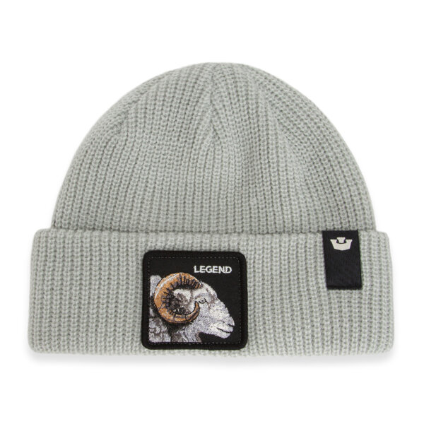 Goorin Bros. Kids Watch Cap The Legend Beanie Mini Digital