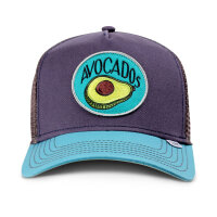 Djinns HFT Cap Food Avocados Navy