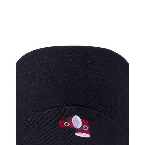Cayler & Sons C&S WL Gee Cups Curved Cap black/mc