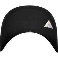 Cayler & Sons CSBL MNTN2 110 Cap black/mc