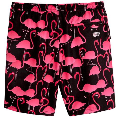 Lousy Livin Shorts Flamingos Beach Shorts