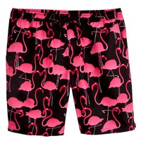 Lousy Livin Shorts Flamingos Beach Shorts