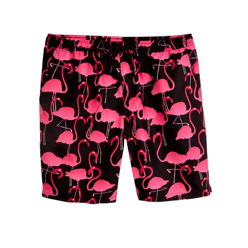 Lousy Livin Shorts Flamingos Beach Shorts Black S