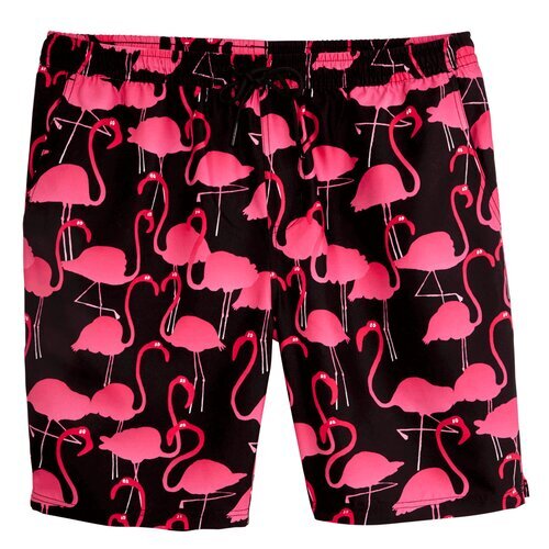 Lousy Livin Shorts Flamingos Beach Shorts Black S