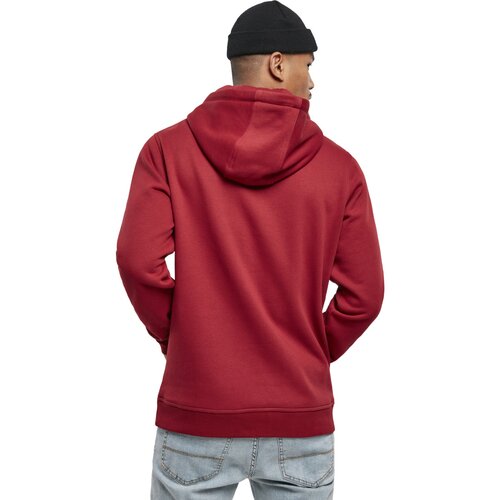 Starter Small Logo Hoody brick red S