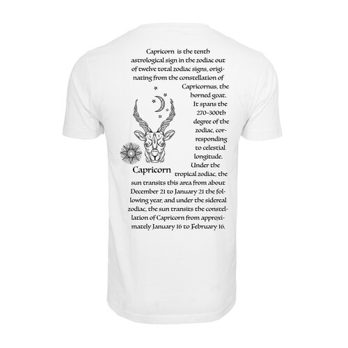 Mister Tee Astro Capricornus Tee white M