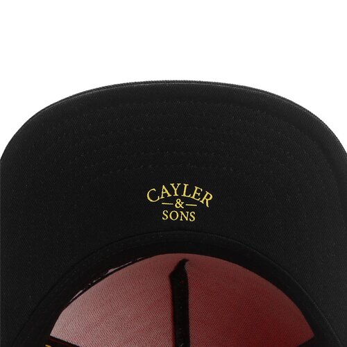 Cayler & Sons C&S WL Speed Snapback Cap red